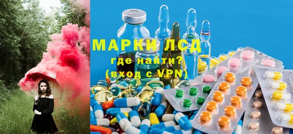 таблы Осинники