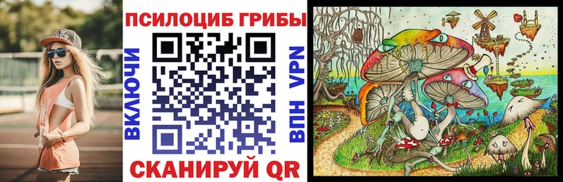 Галлюциногенные грибы Psilocybine cubensis даркнет сайт Торжок